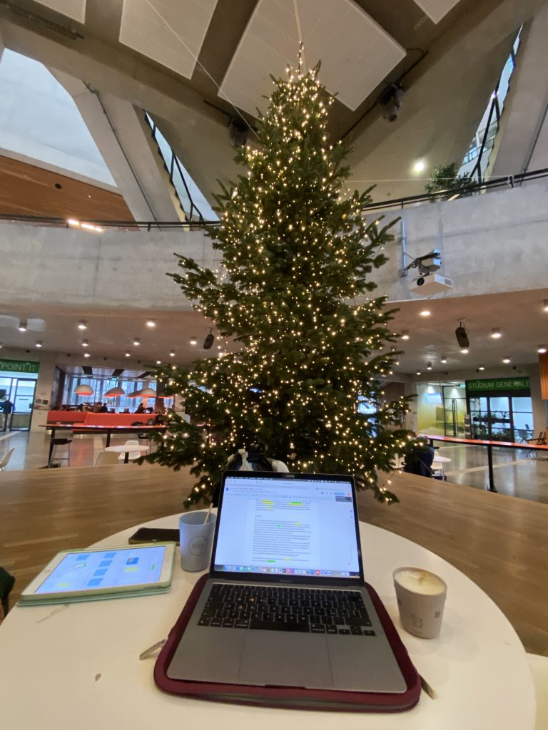 Working on group project with Christmas vibes at WUR.
