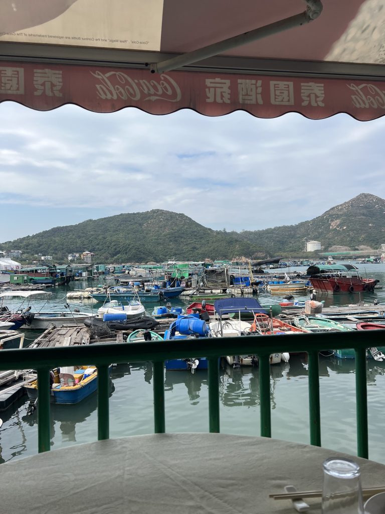 The view from a restaurant table overlooking the water filled with older and small boats with green hills in the background.