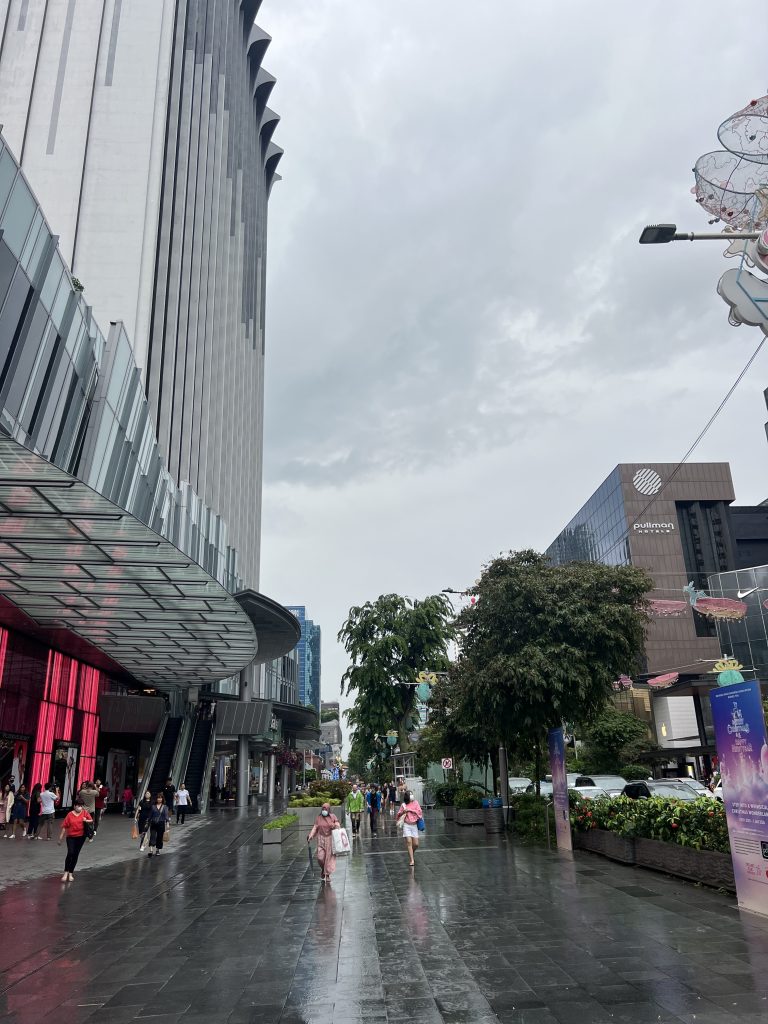 A street with large buildings made of glass lining the road, trees along a path and people walking with shopping bags. The sky is grey with heavy clouds.