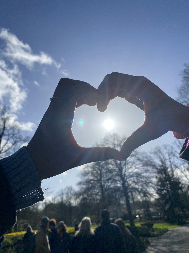 två händer som formar ett hjärta med solen i mitten