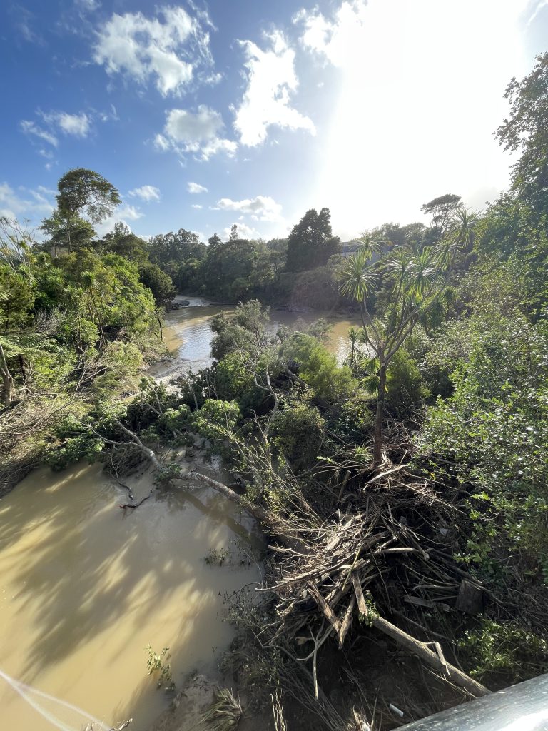 fallen trees and floodings