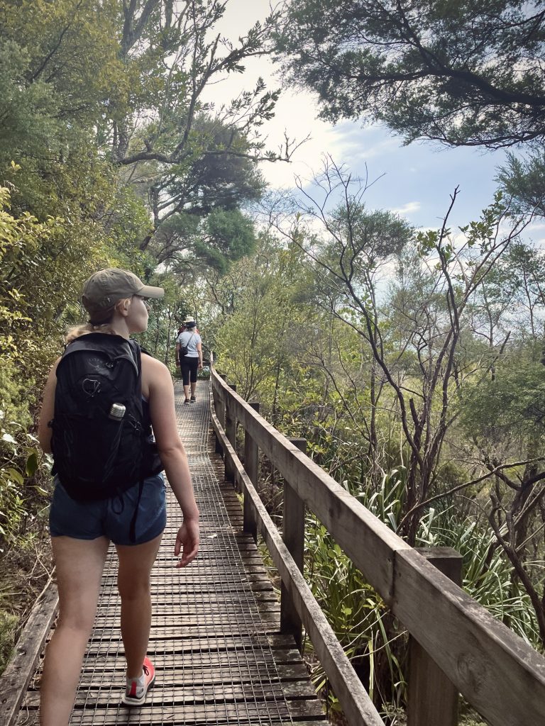 girl walking on the board walk in the bush around the summit