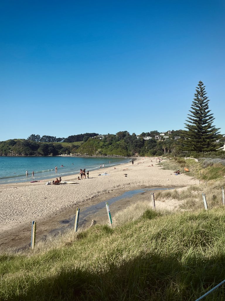 A beach full of people with the trees marking the coast line