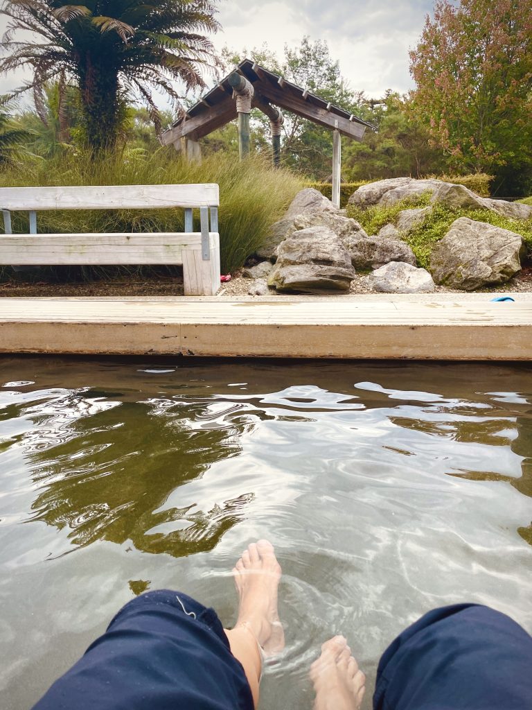 My feet in the foot bath with a view of the park with palm trees and wooden benches.