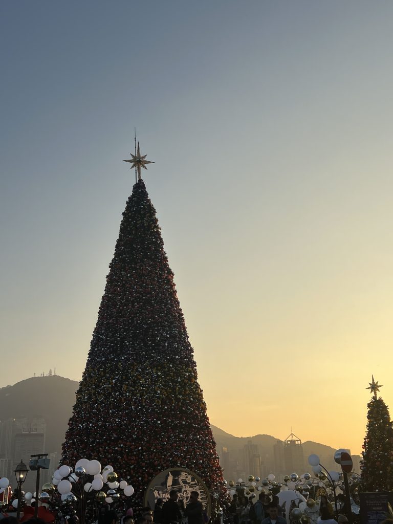 A large Christmas tree in the sunset