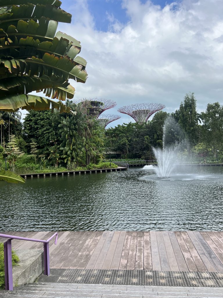 A pond with a fountain of water spurting up in the air, surrounded by greenery and a boardwalk in the front. In the background the towers of Gardens by the Bay can be seen, like large lilac flower petals stretching into the air.