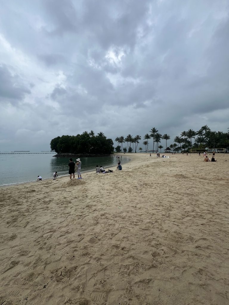 A beach and the ocean, palm trees in the background and a dark sky. In the distance, people can be spotted hanging out at the beach.