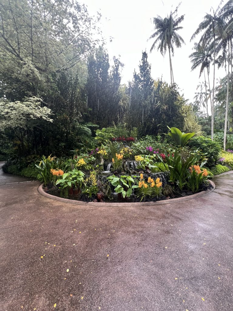 a circle of orchids in various colors including orange, yellow, purple and pink. Behind it are trees of various kind including ferns and palm trees. In front is pavement.
