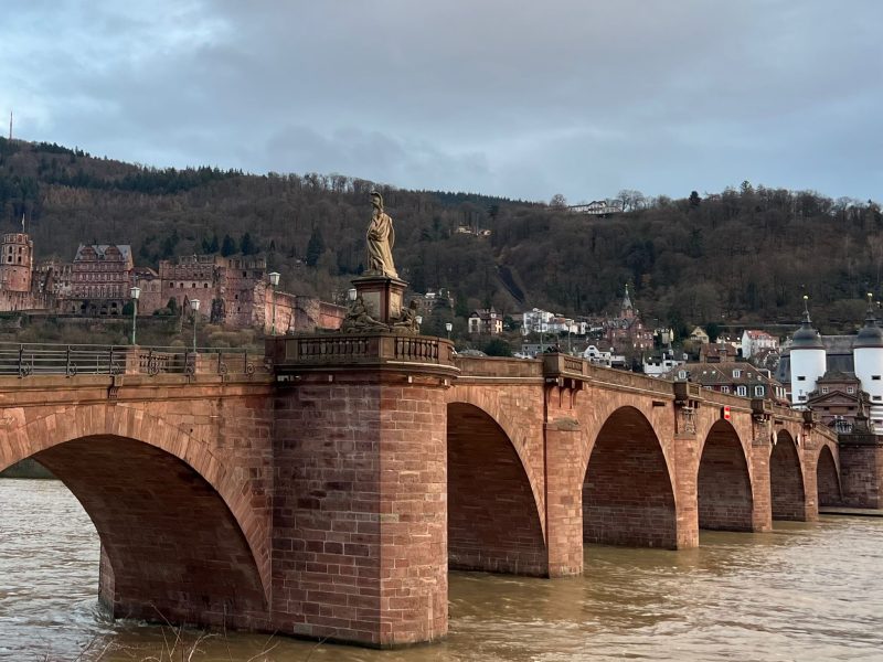 Photo of the old Heidelberg bridge. The bridge is made of red brick and you can see the river under it. It has a white statue detail. In the background there is a hill with buildings and a a forest.
