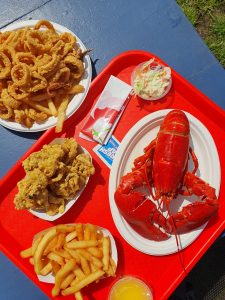 A cooked lobster with fries, clam bellies and calamari as well as a small salad on a red tray on a blue table.
