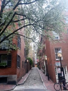 An alley lined on both sides with red brick houses.