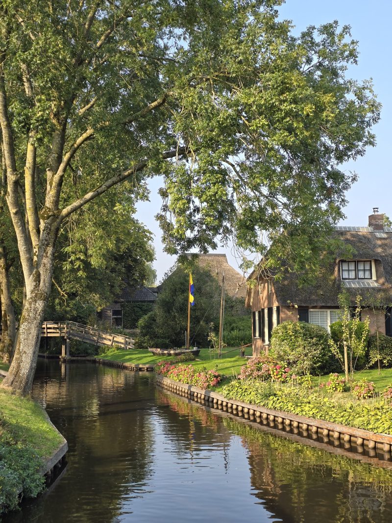 canal with trees and greenery on both sides