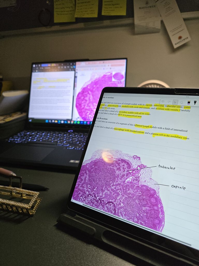 laptop and tablet open with annotated imaged of immune cells