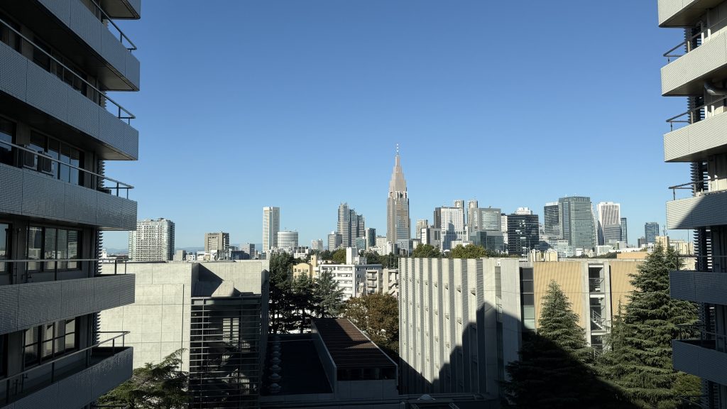 Bild: Del av Tokyo skyline, tagen från sjukhuset. Foto: Malin Andrée