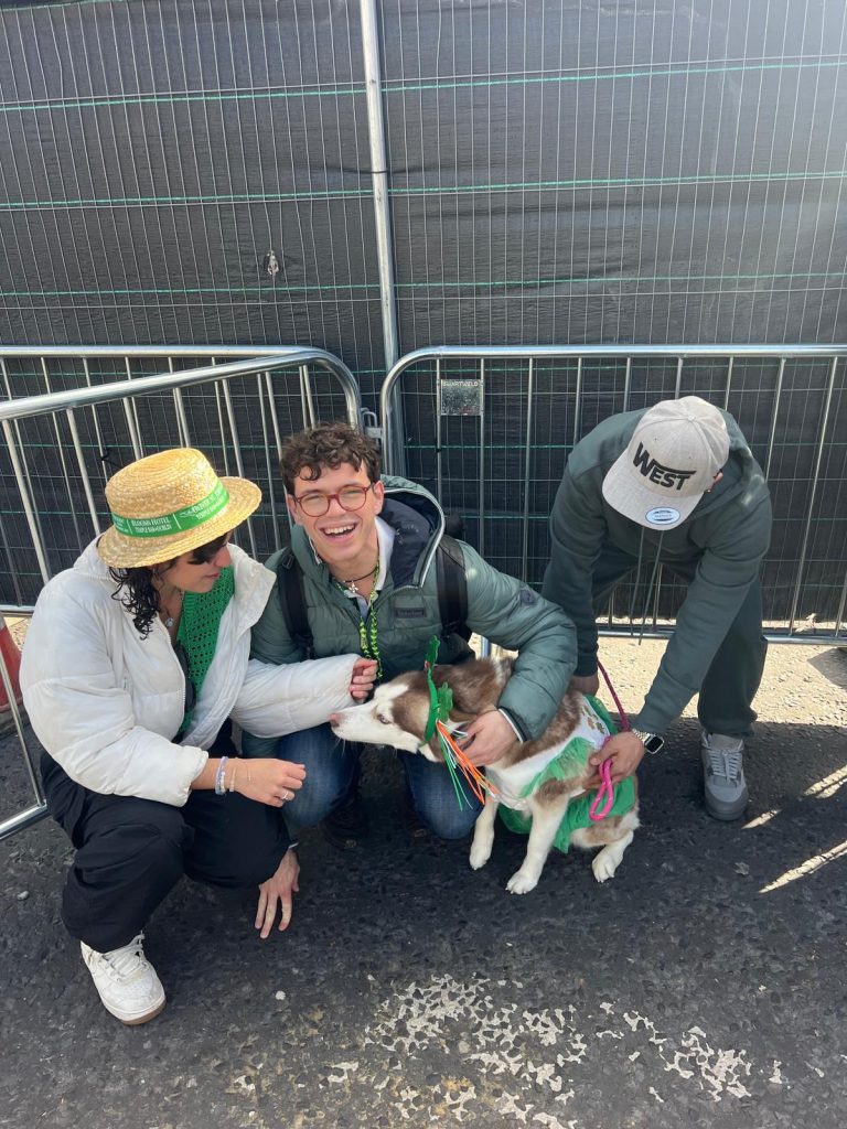 A dog dressed up in St. Patty's apparel.